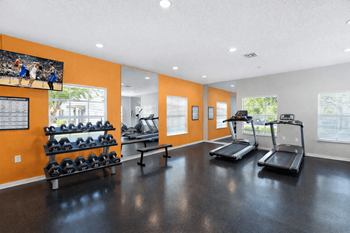 A gym with a row of treadmills and a bench.